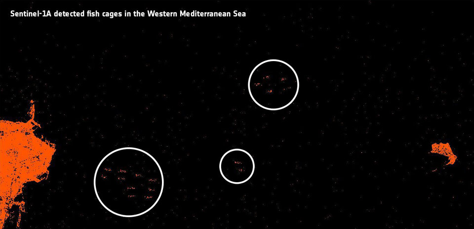 Sentinel-1A detects fishing cages