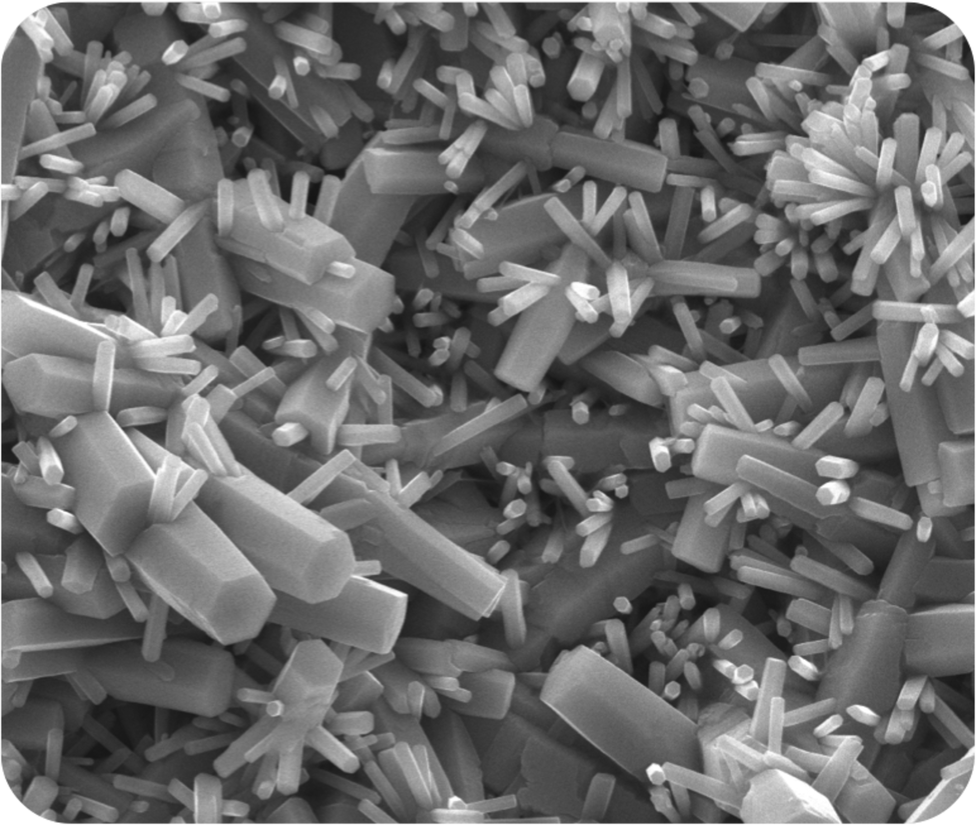 iNanoEnergy generator SEM closeup