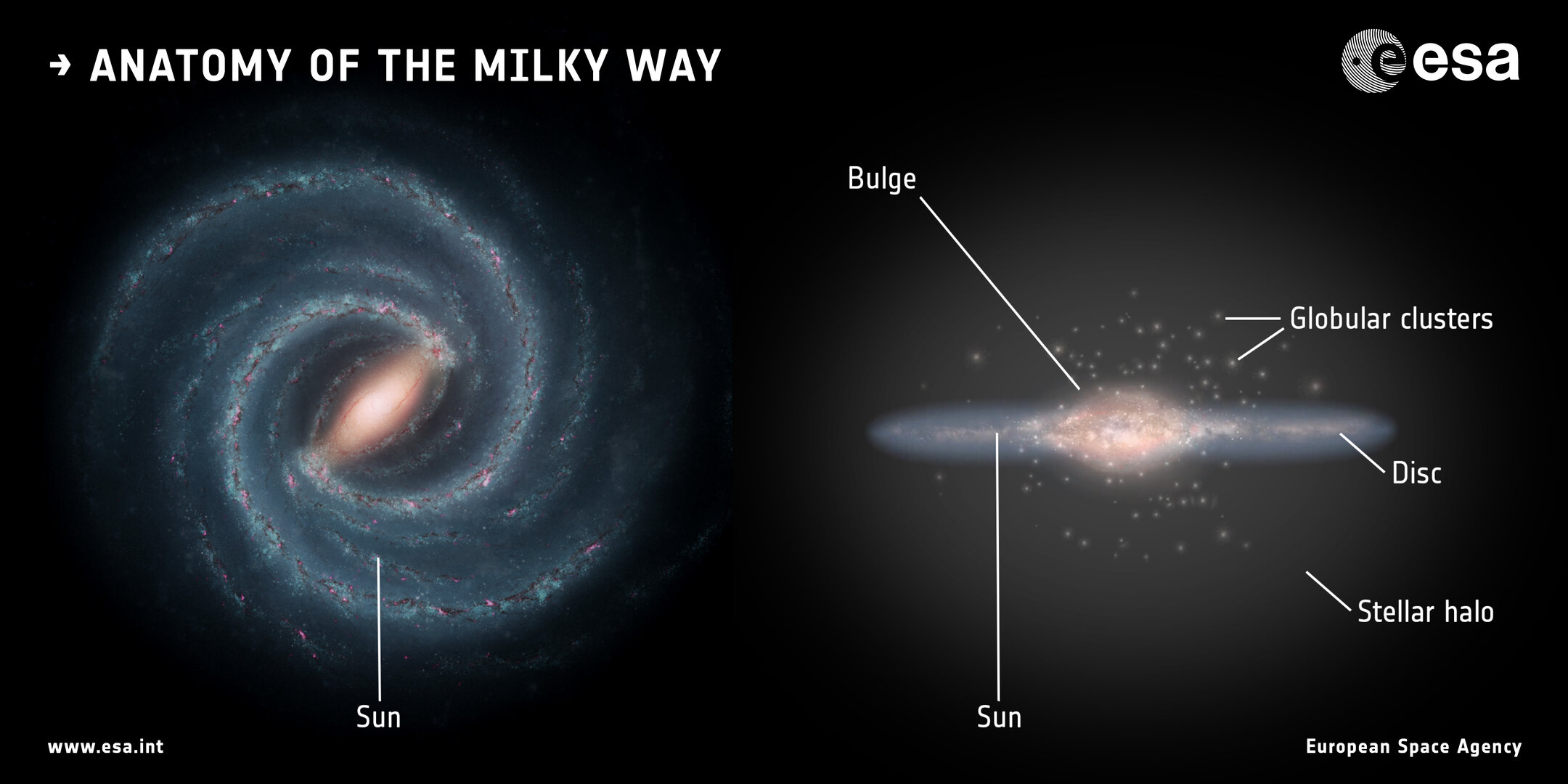 ESA - Galactic ghosts: Gaia uncovers major event in the formation of ...