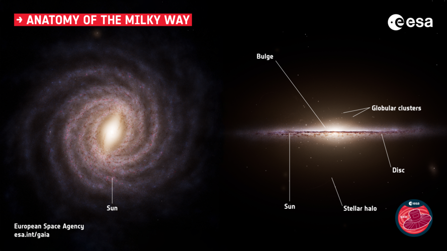 Anatomy of the Milky Way