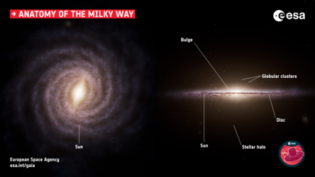 Anatomy of the Milky Way