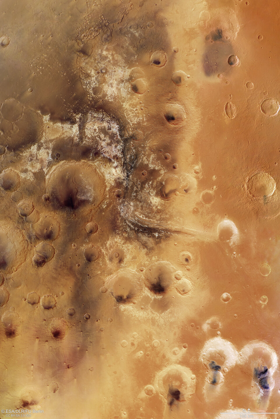 Mawrth Vallis martian mosaic 