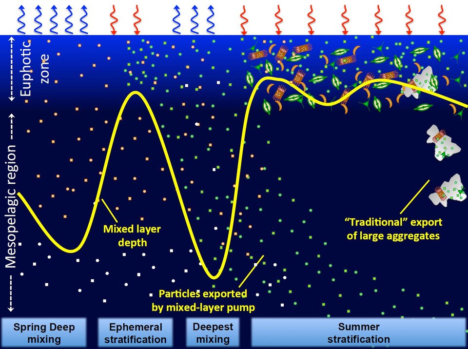Seasonal mixed layer pump