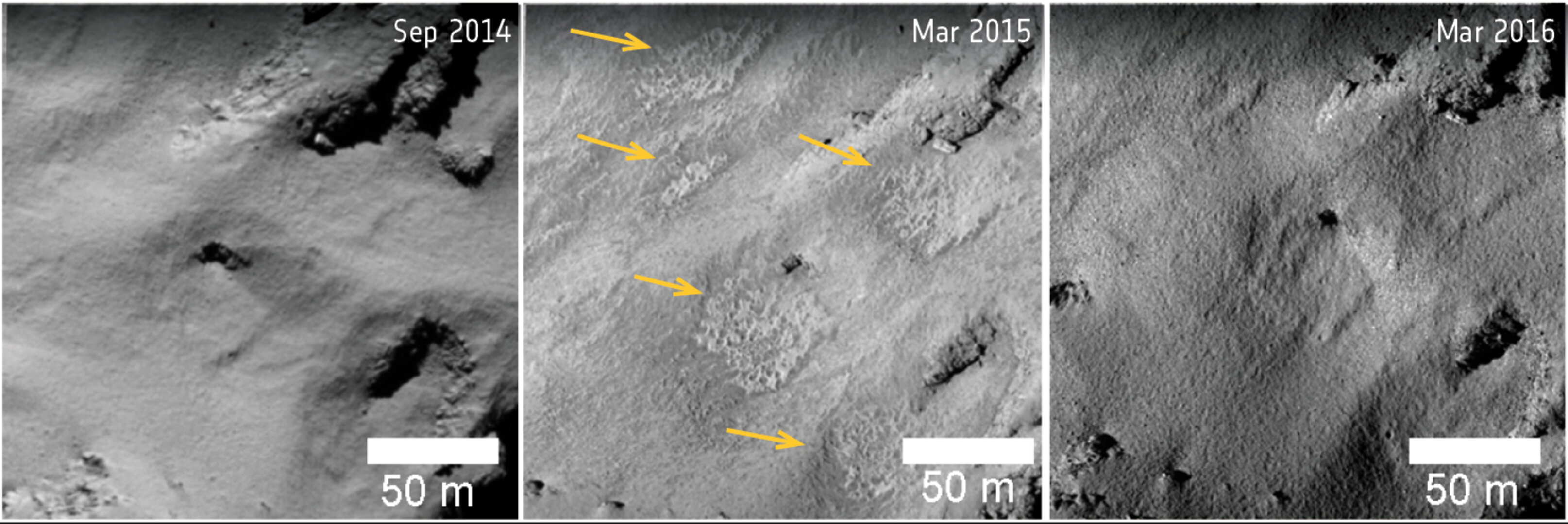 Comet changes: surface textures in Ma’at