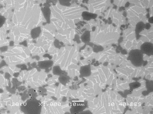  SEM image, TMC with TiC obtained by SHS, X1000