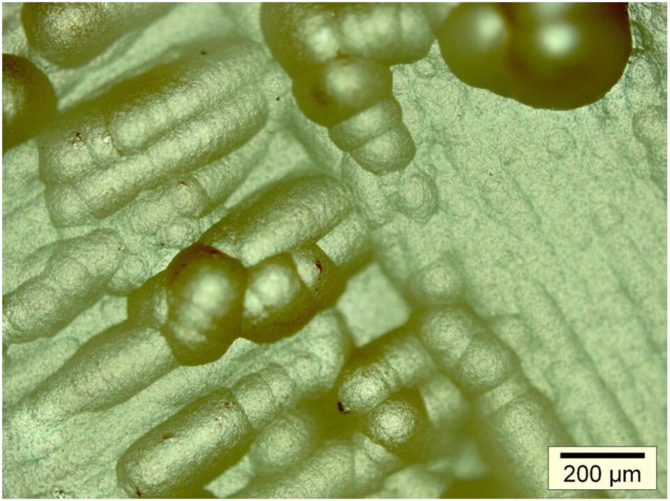 Coating surface - End of Life