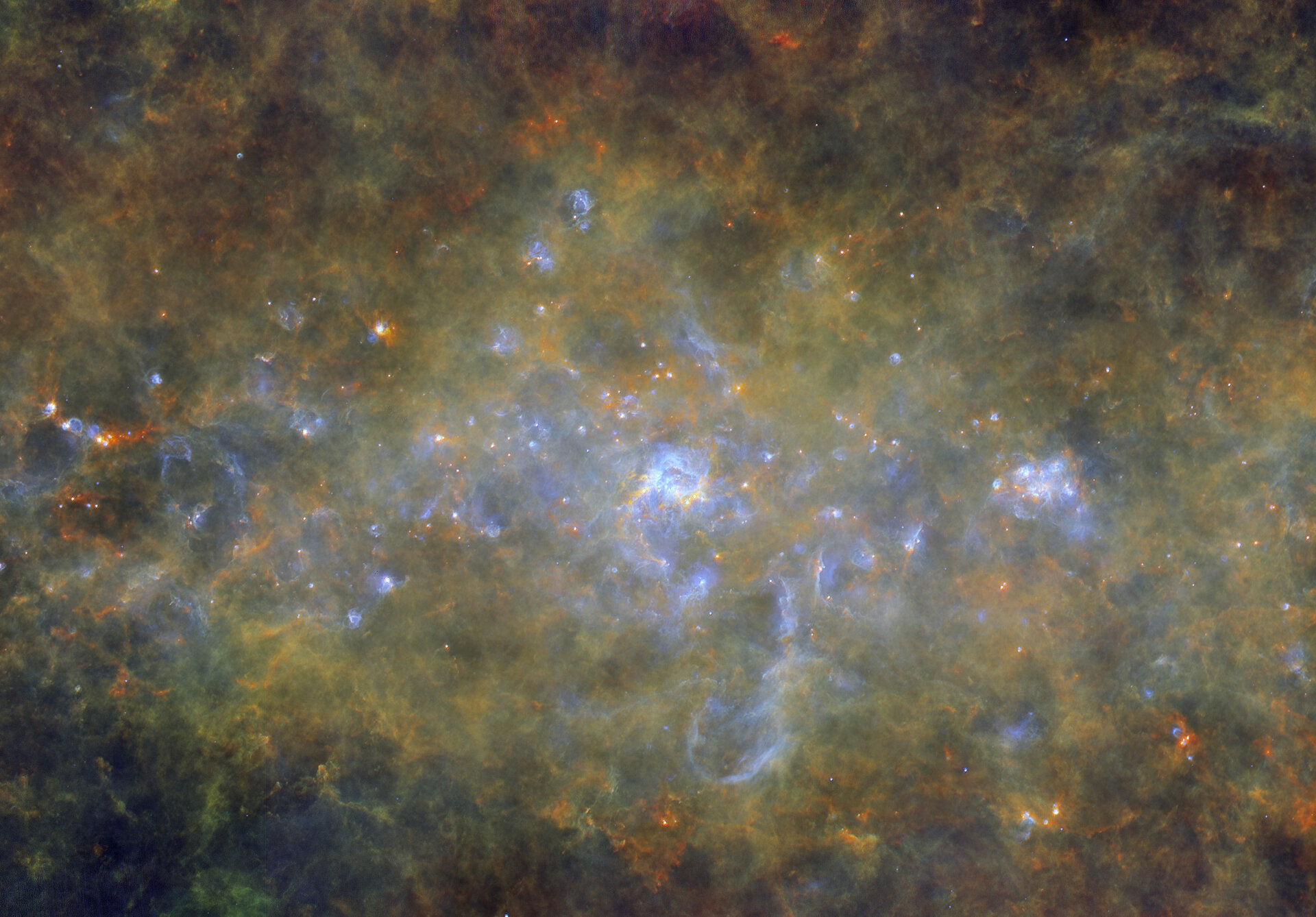 Intense star formation in the Westerhout 43 region