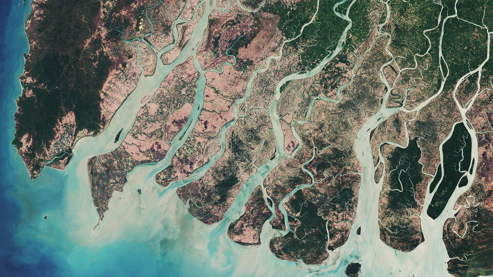 The Irrawaddy Delta in Myanmar, imaged by the Copernicus Sentinel-2A satellite. Green areas show dense mangrove forest