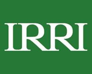IRRI logo