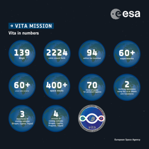 Vita in numbers