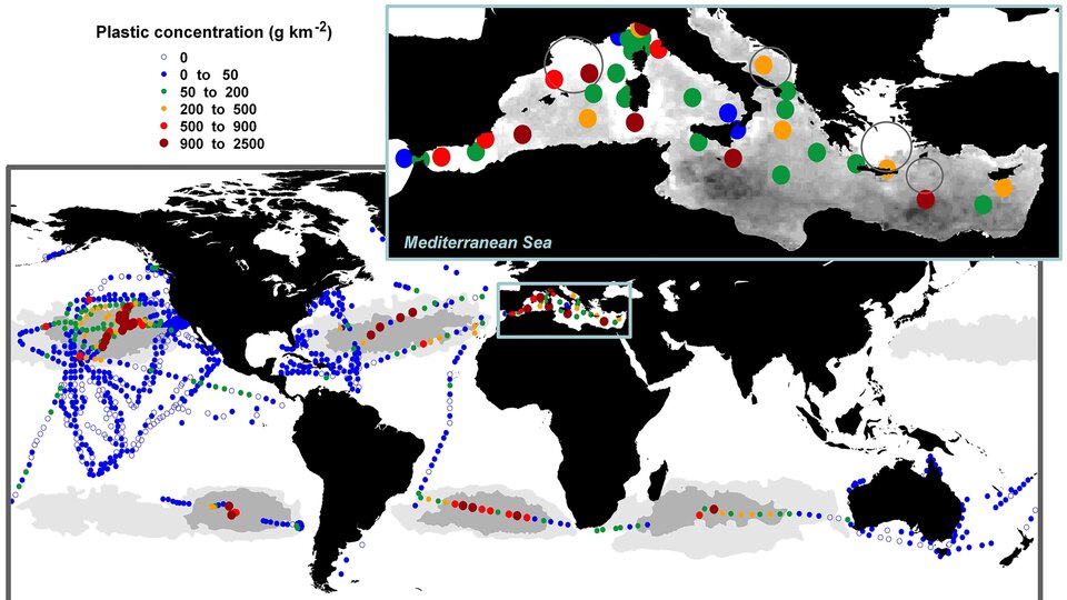 Plastic litter in global oceans