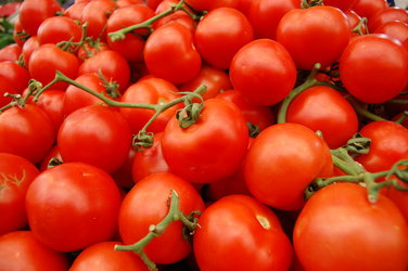 Tomatoes