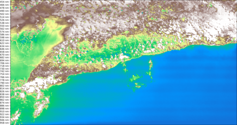 First light from HyperScout imager