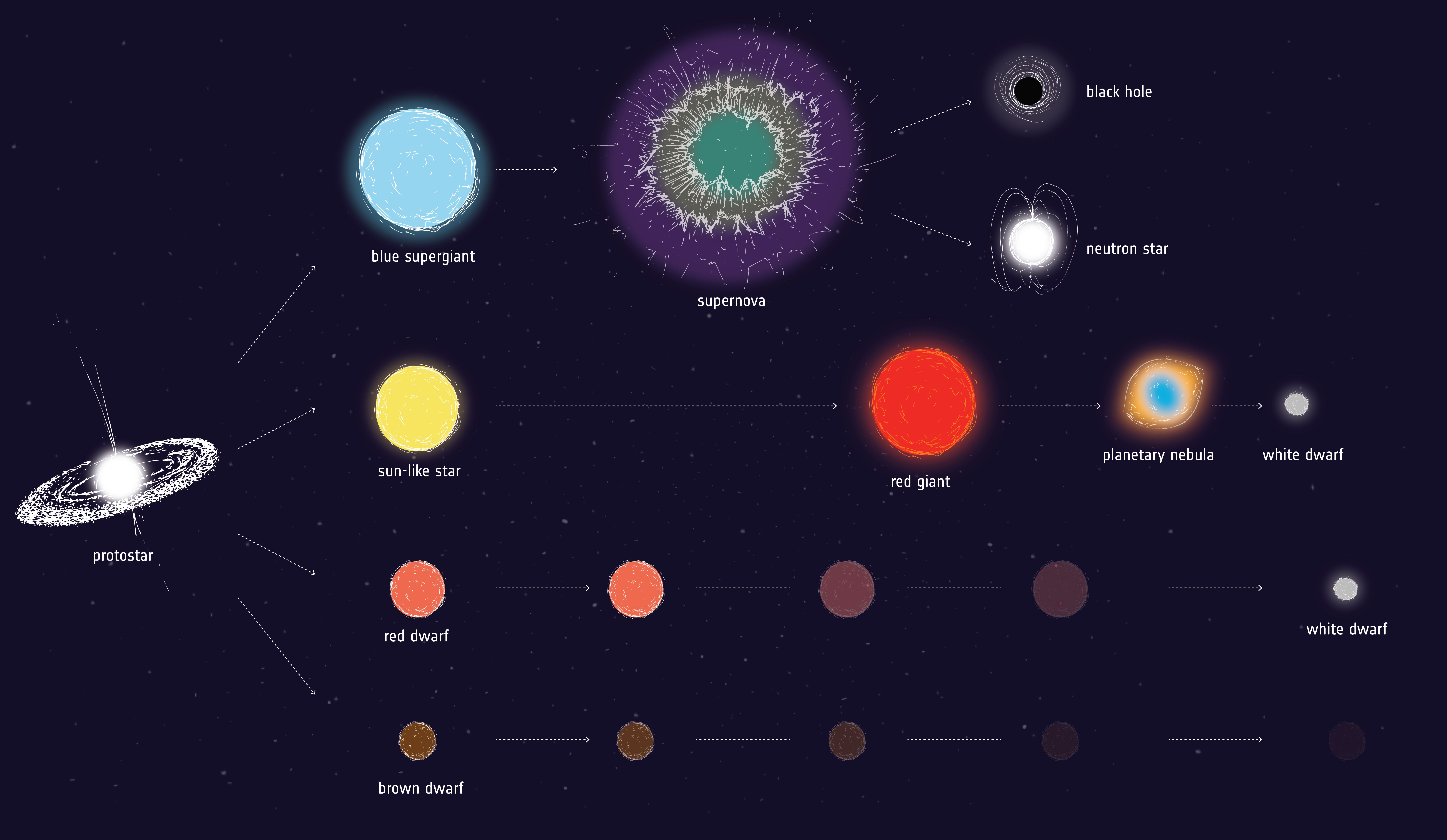 Финал эволюции звезды 7 букв. Эволюция звезд протозвезда. Звёздная Эволюция в астрономии. Звёзды гиганты жизненный цикл. Жизненный цикл звезды схема.