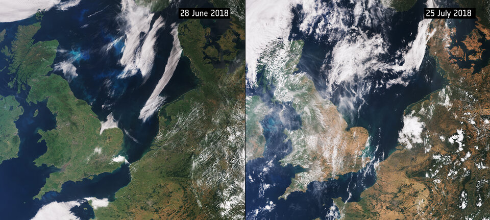 L'impact de la sécherrese dans l'été de 2018 sur la végétation comme vu depuis l'espace