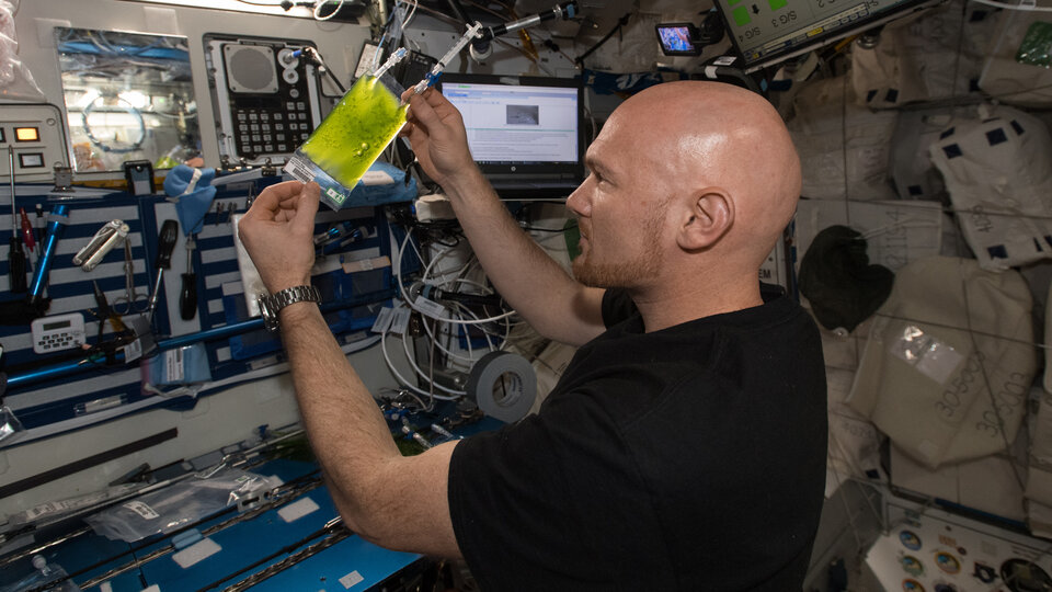 ESA astronaut Alexander Gerst works on the Space Algae experiment on the International Space Station (ISS)