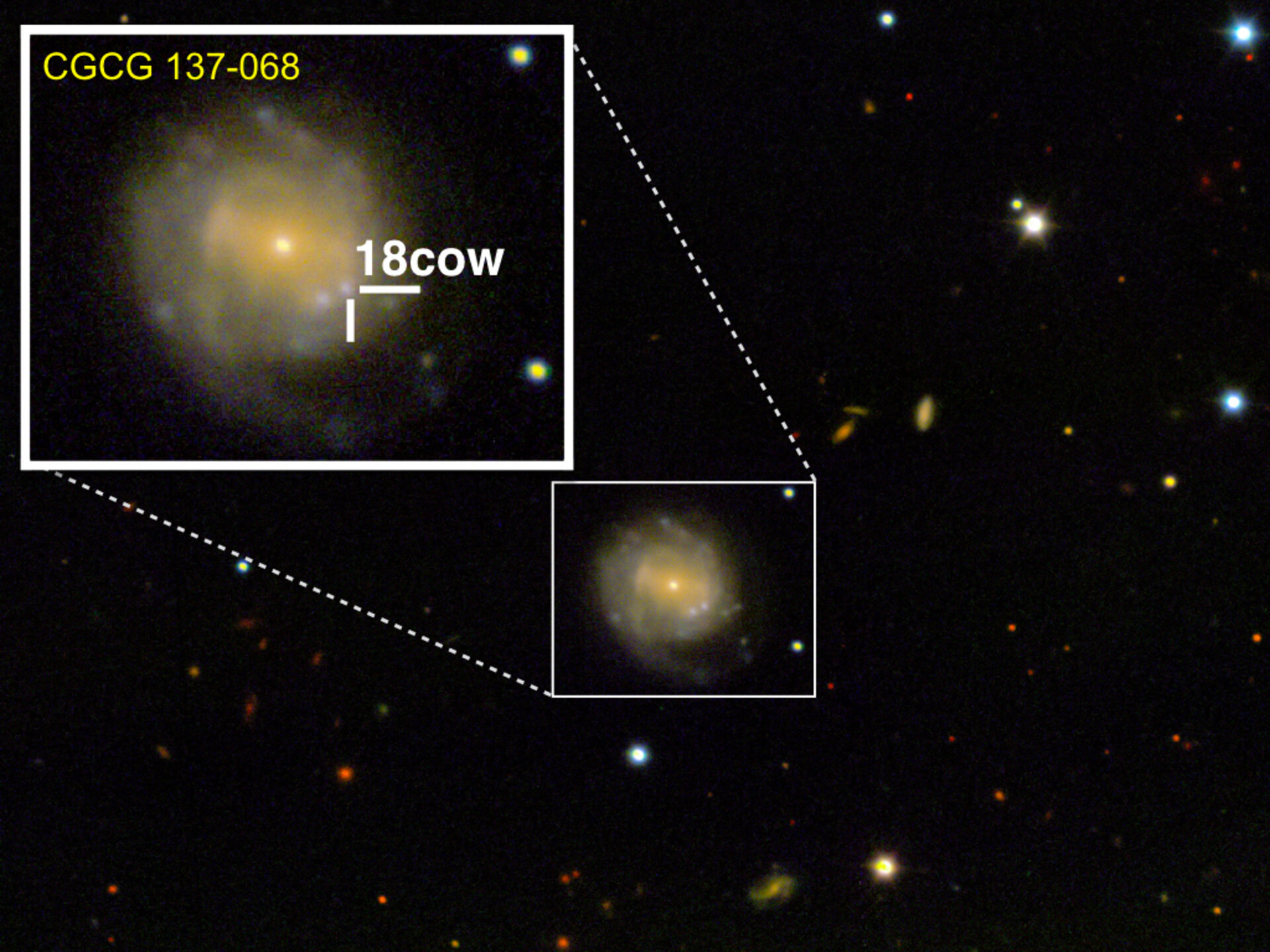 An unprecedentedly bright and rapidly evolving supernova