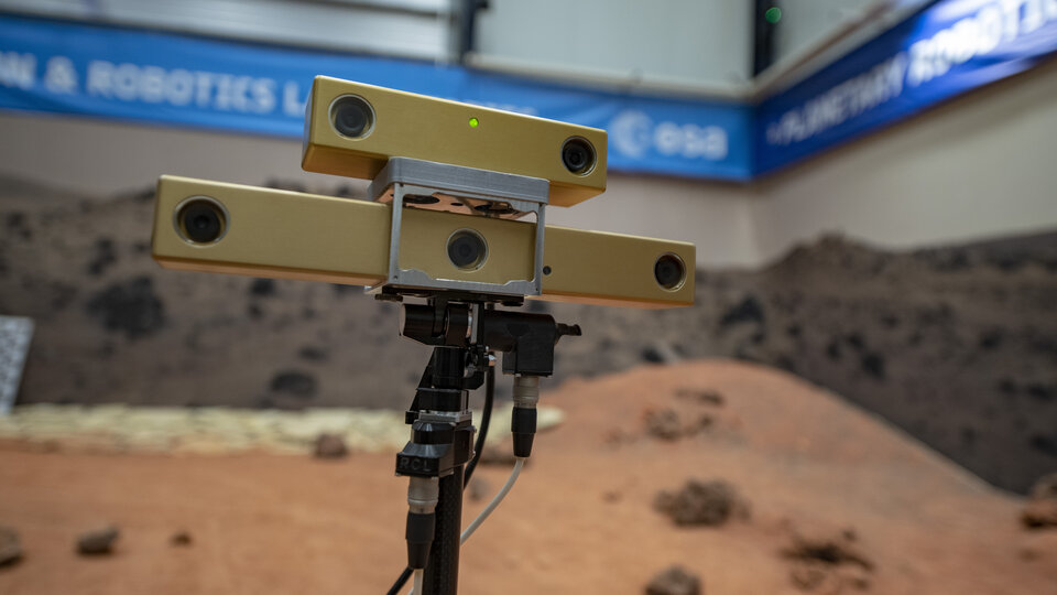 Mast-mounted navigation cameras
