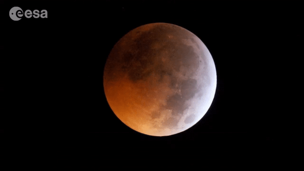 Stellar occultation during lunar eclipse – ingress