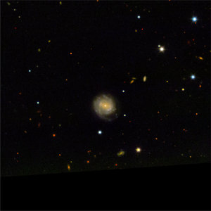 Supernova host galaxy