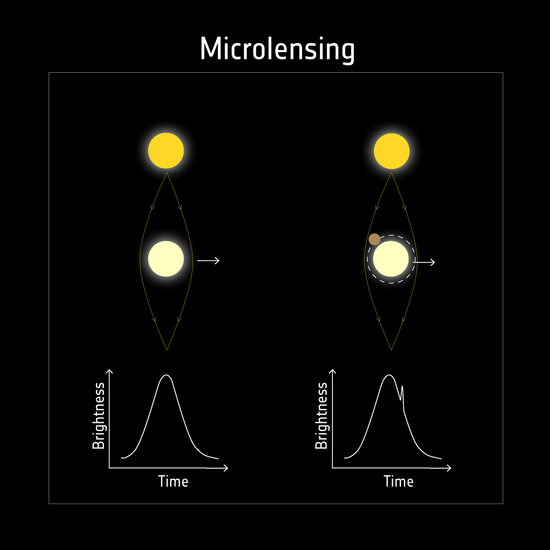 Curva di luce microlente gravitazionale