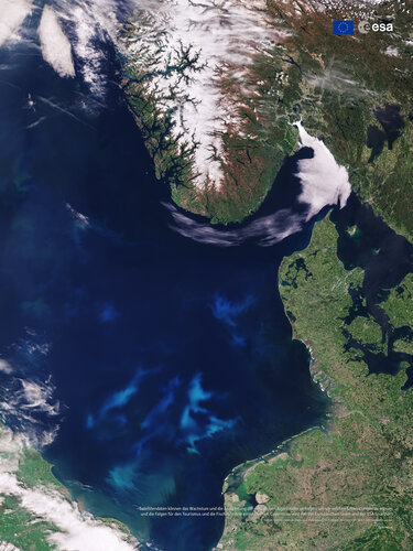 Aufnahme der Algenblüte in der Nordsee von Sentinel-3