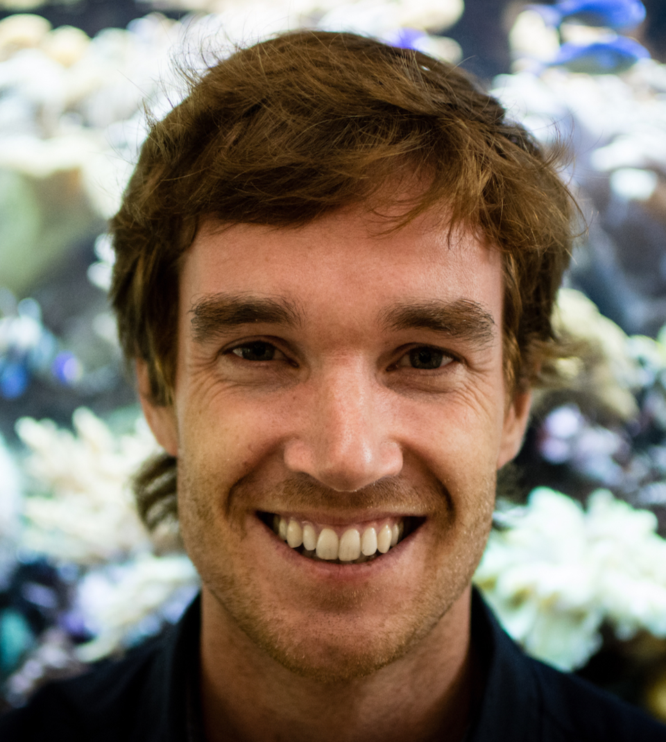 Joost den Haan, Coral Reef Specialist and PlanBlue CEO