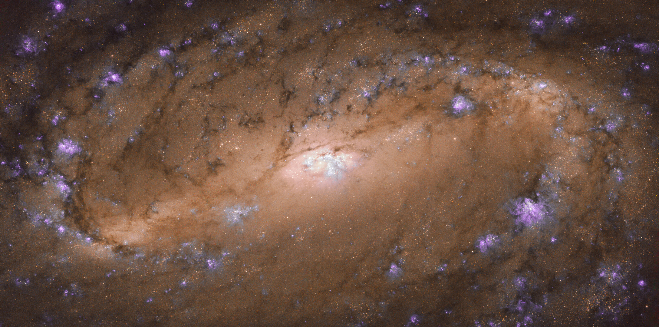 Spiral galaxy NGC 2903