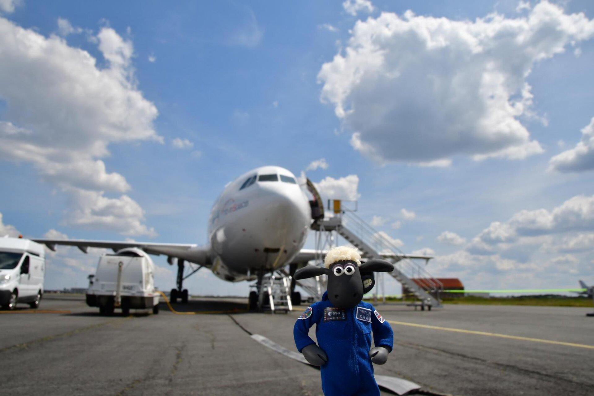 La oveja Shaun se prepara para un vuelo parabólico con la ESA