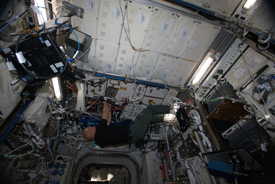 Luca Parmitano bei der Arbeit mit dem Fluid Science Laboratory im europäischen Weltraumlabor Columbus