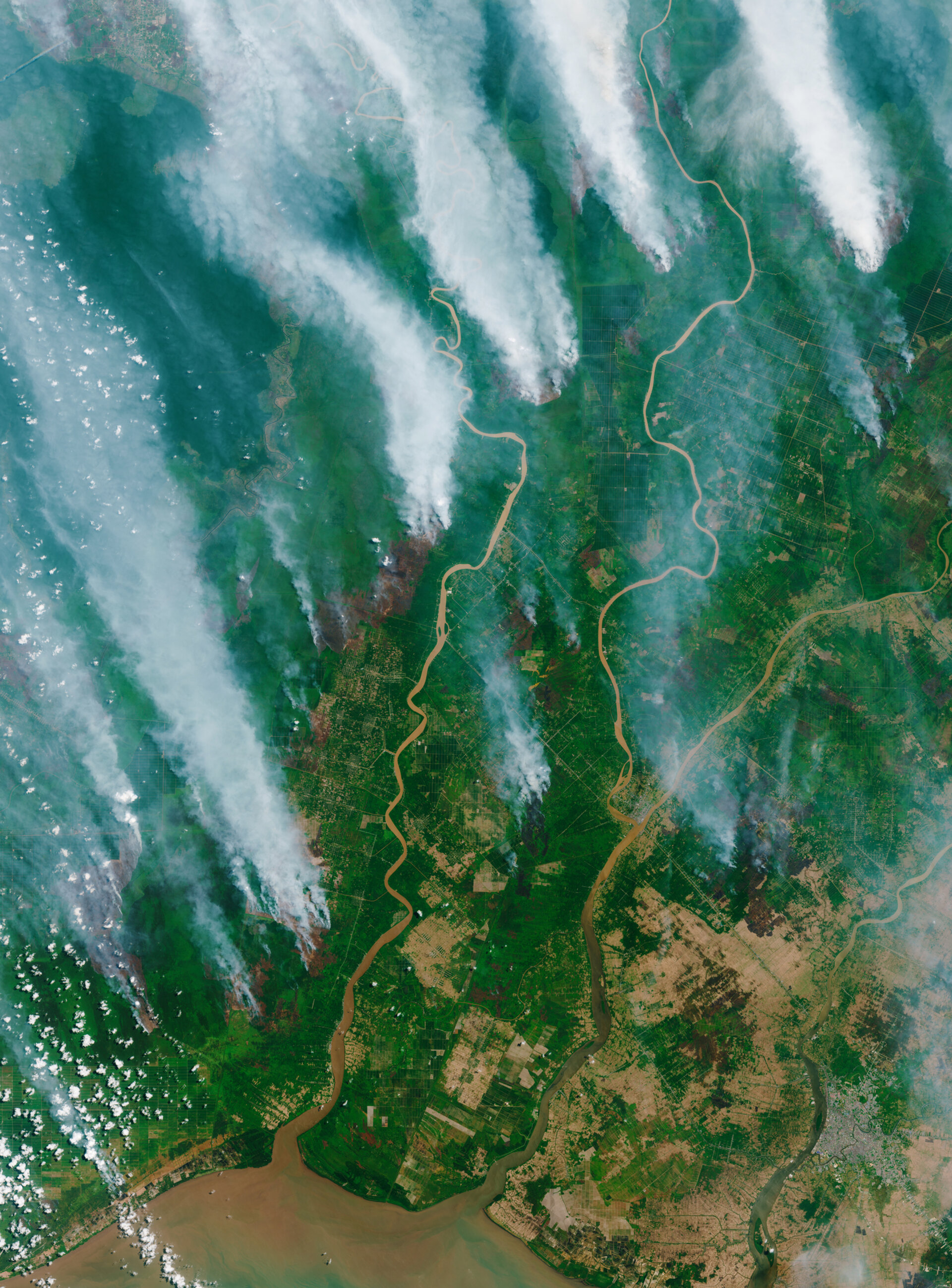 Borneo wildfires