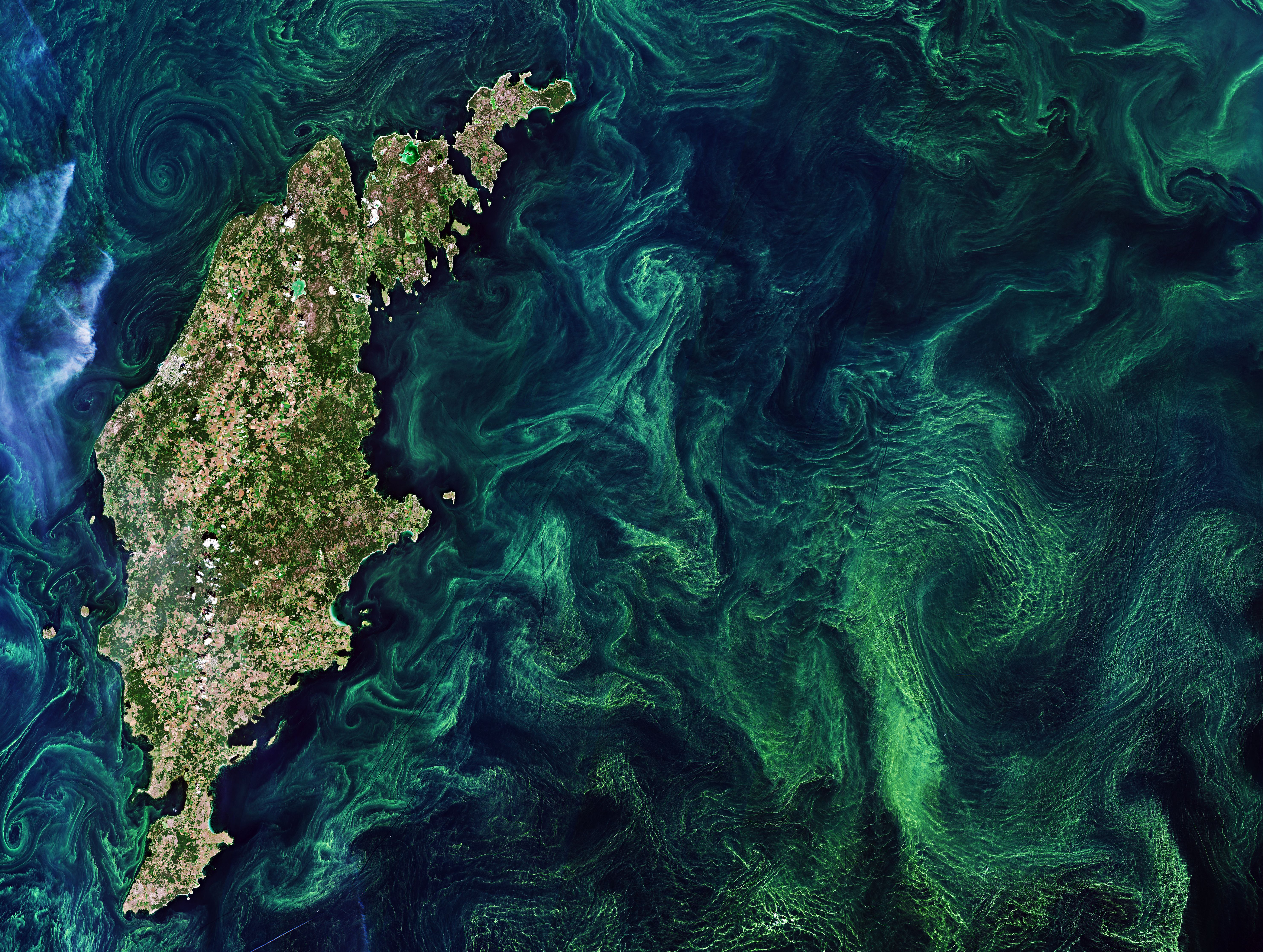 черное море из космоса
