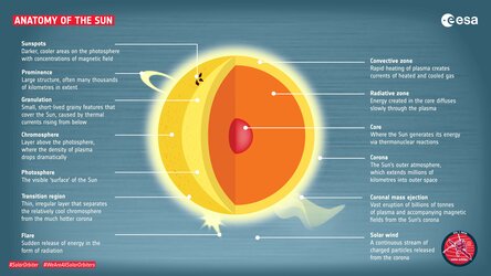 Anatomy of the Sun