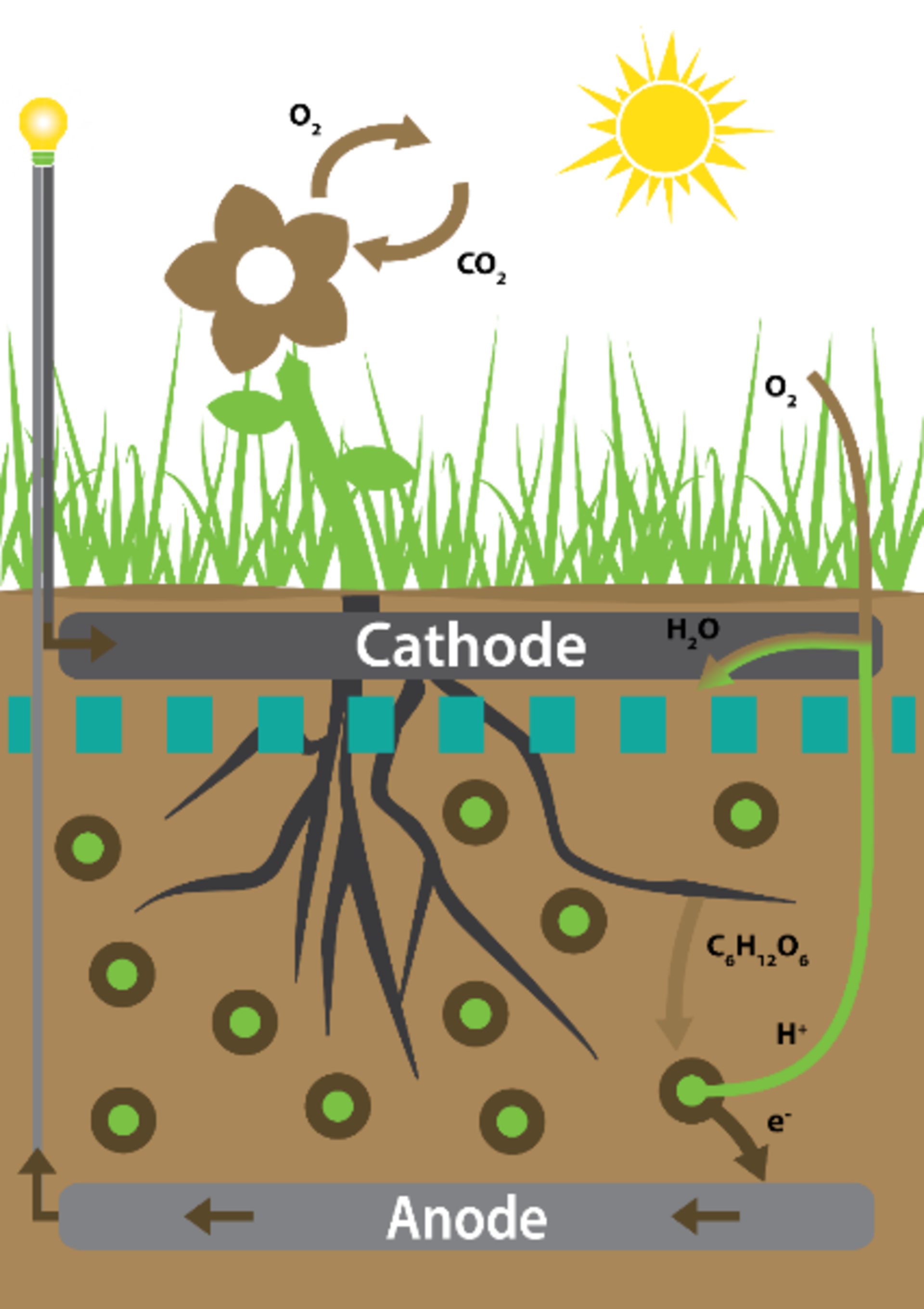 http://www.esa.int/var/esa/storage/images/esa_multimedia/images/2020/01/plant-powered_sensor_schematic/21798236-1-eng-GB/Plant-powered_sensor_schematic_pillars.png