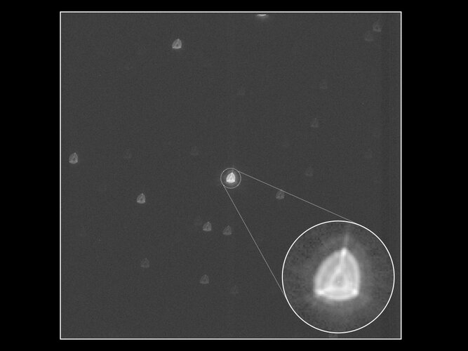 Cheops image of its first target star