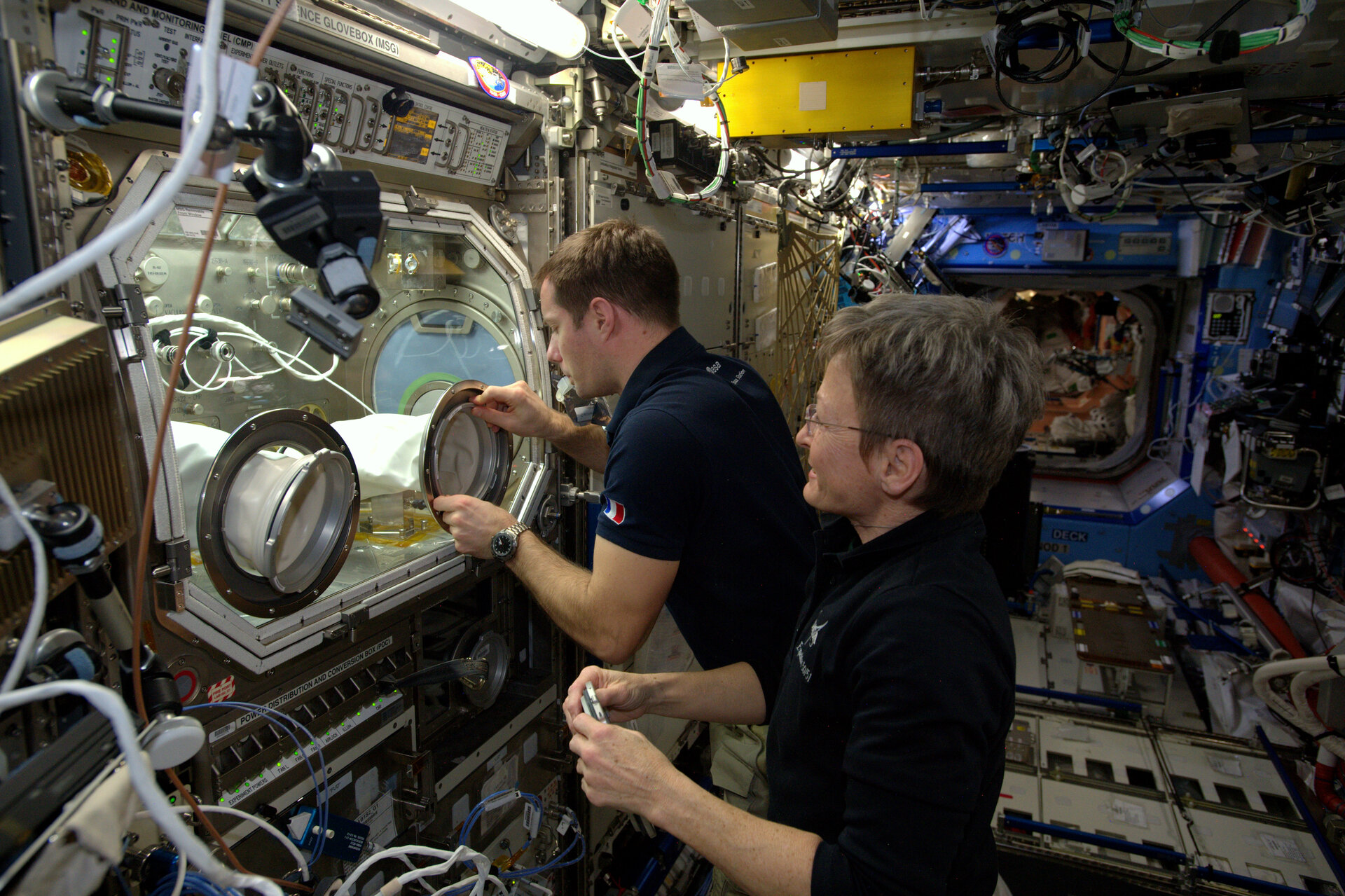 European Microgravity Science Glovebox