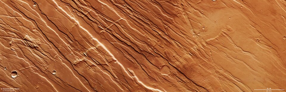 Faults and scars near Tharsis province on Mars