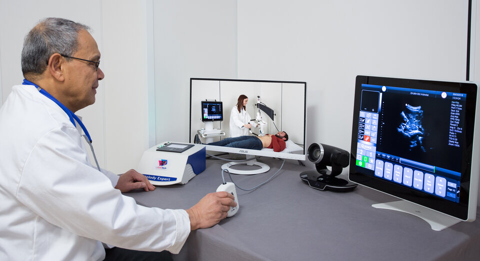 A trained radiologist investigates a remote patient's complaint, assisted by a local healthcare professional