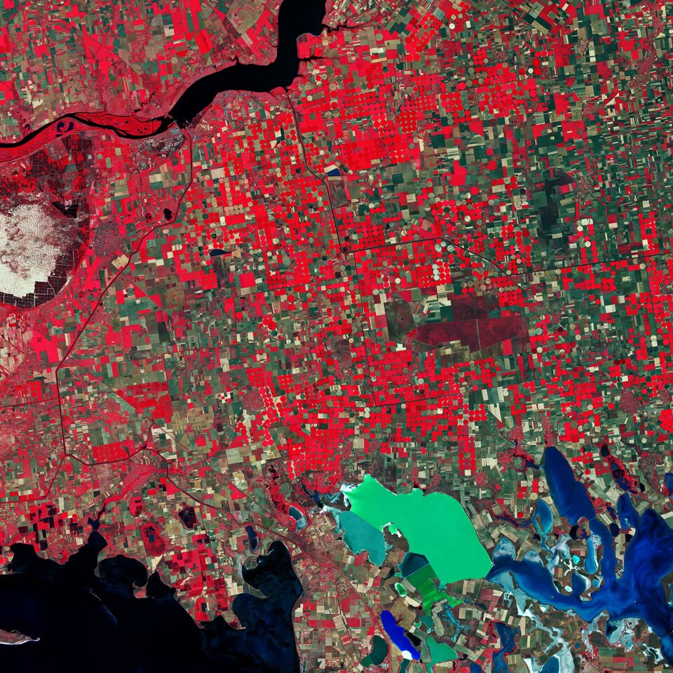 Sentinel-2 for agriculture