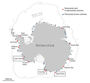 Locations of penguin colonies