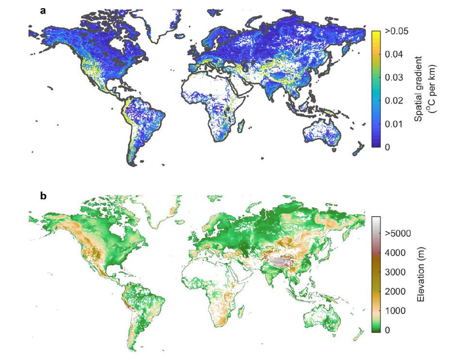 Global relationship between the spatial temperature gradient and elevation