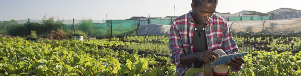 Space data for agriculture