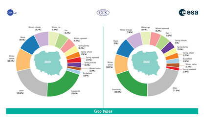 EOStat results: crop types in Poland in 2019 and 2020 seasons