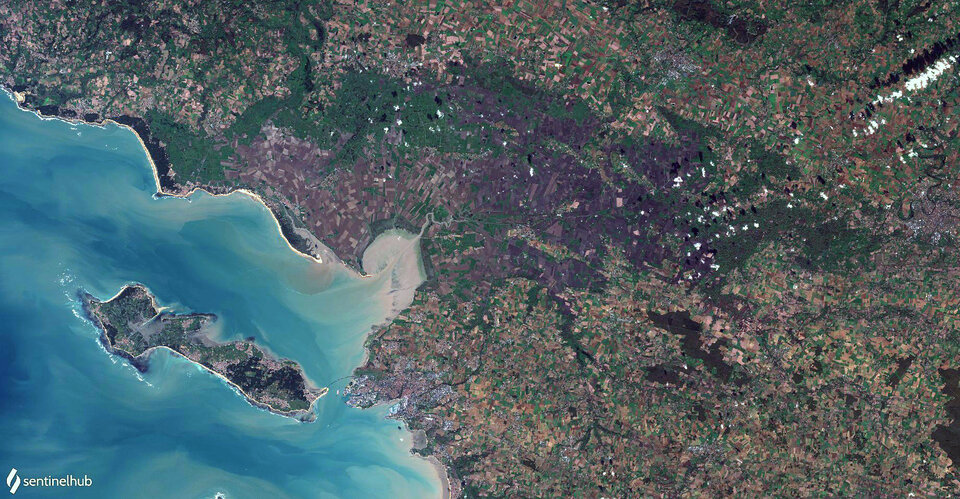 L'île de Ré, La Rochelle et le Marais poitevin le 6 novembre 2020 (image Copernicus Sentinel-2 via Sentinel Hub)