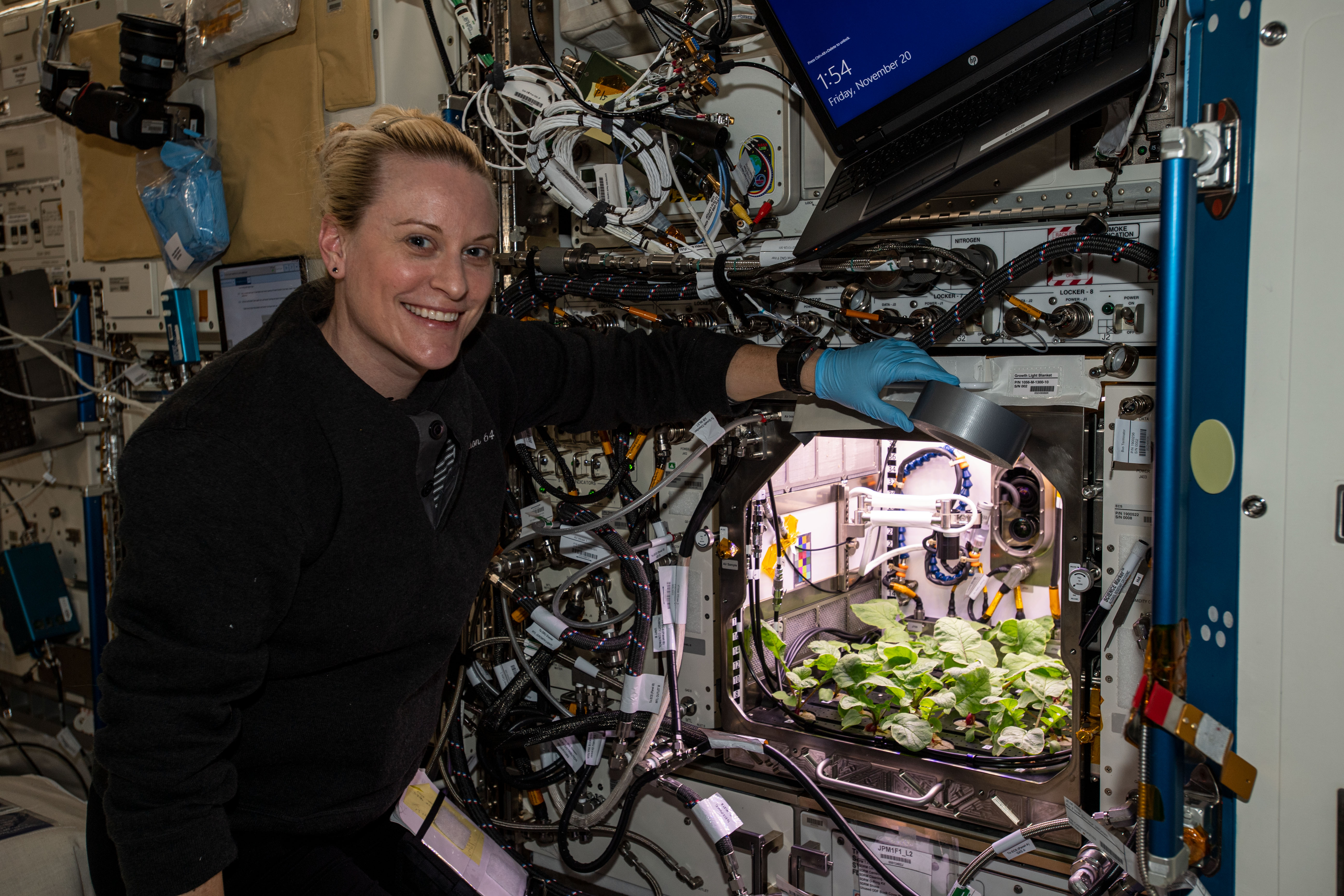 Какой овощ вырастили на космической станции. Опыты с растениями на МКС (Международная Космическая станция). Оранжерея Veggie МКС. Первый редис выращенный на МКС. Растения в космосе.