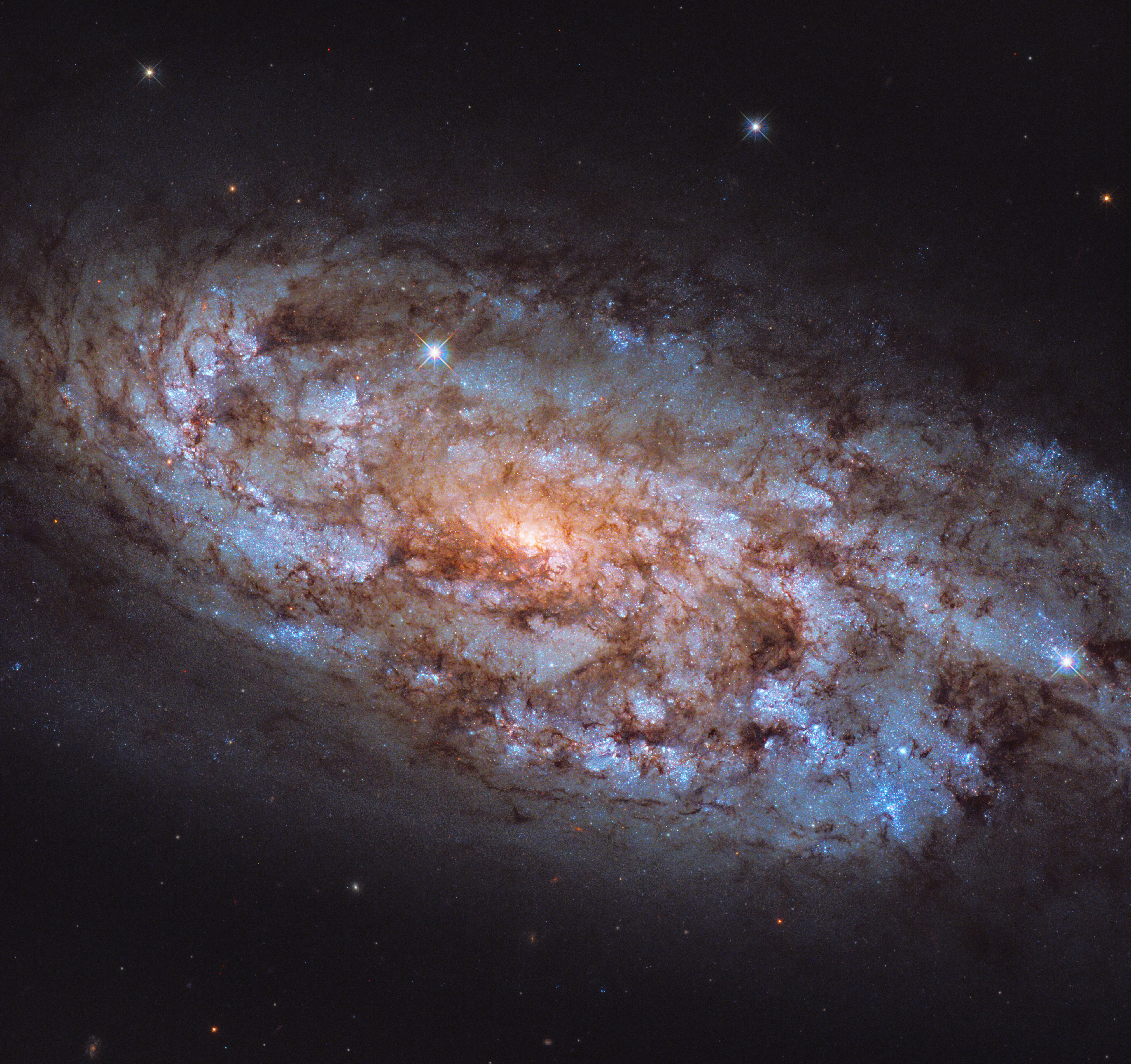 Как далеко можно увидеть. Спиральная Галактика NGC 3521. Галактика NGC 7674. Галактика NGC 4449. Галактика NGC 1808.