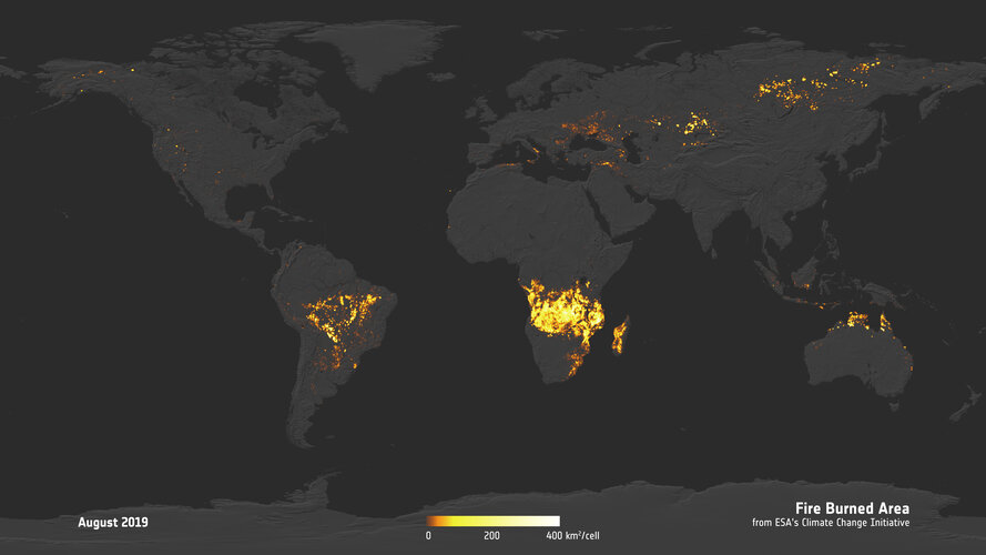 Area burned by fire in August 2019