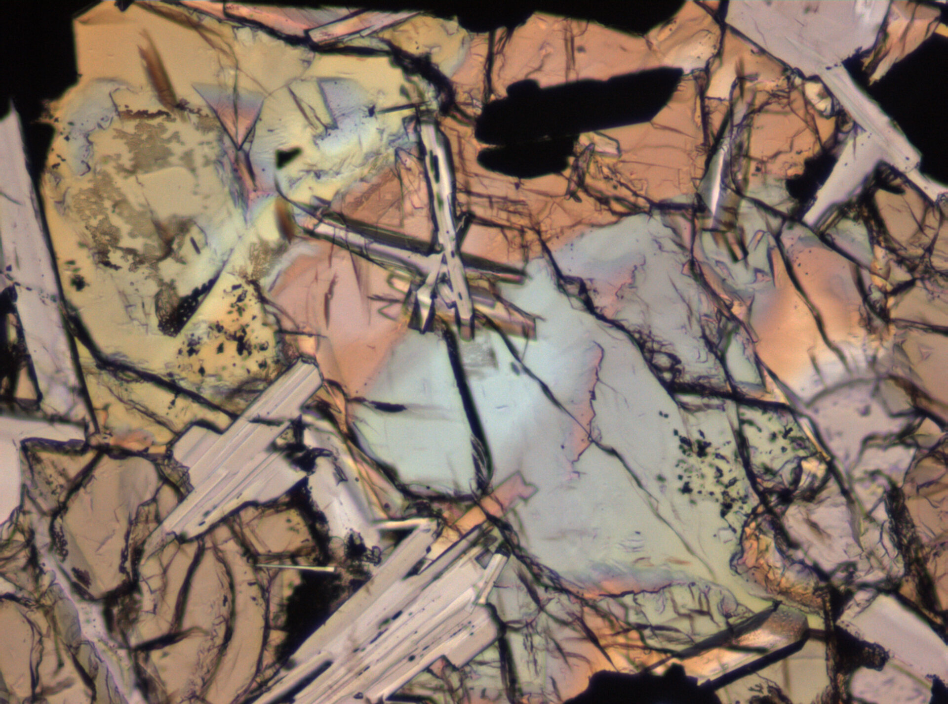 Thin Section Photograph of Apollo 11 Sample 10003,153 in Plane-Polarized Light 