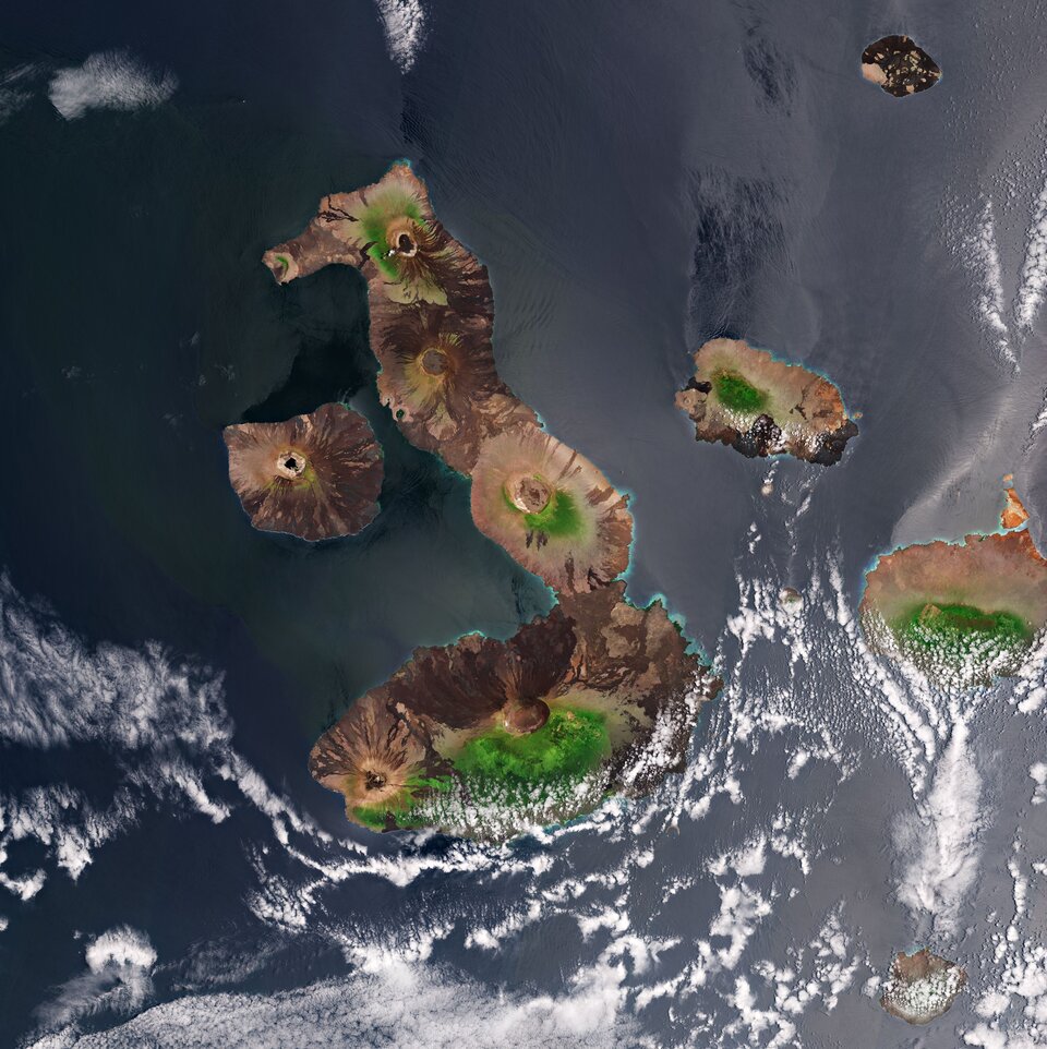 Isole Galápagos 