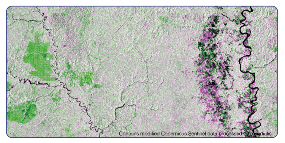 An image from Copernicus Sentinel-1 showing forest (re)growth in green and forest loss in pink